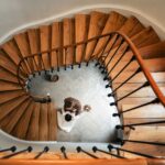 Le Chat Roux - Photographe mariage et portrait à troyes et dans l'aube